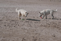 Coralie & Keona der Sand schmeckt nicht